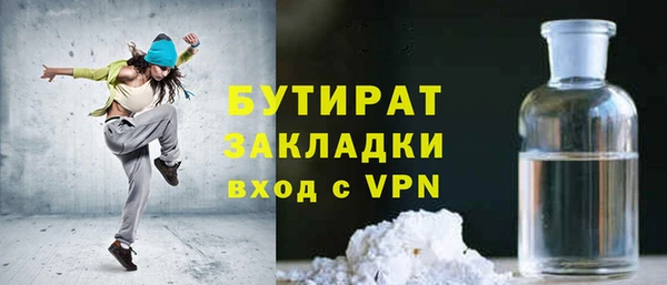 индика Вяземский