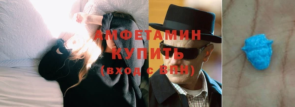 индика Вяземский