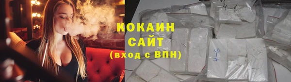 индика Вяземский