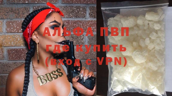 индика Вяземский