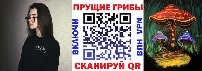 закладки  MEGA ссылка  Псилоцибиновые грибы мицелий  Железногорск 