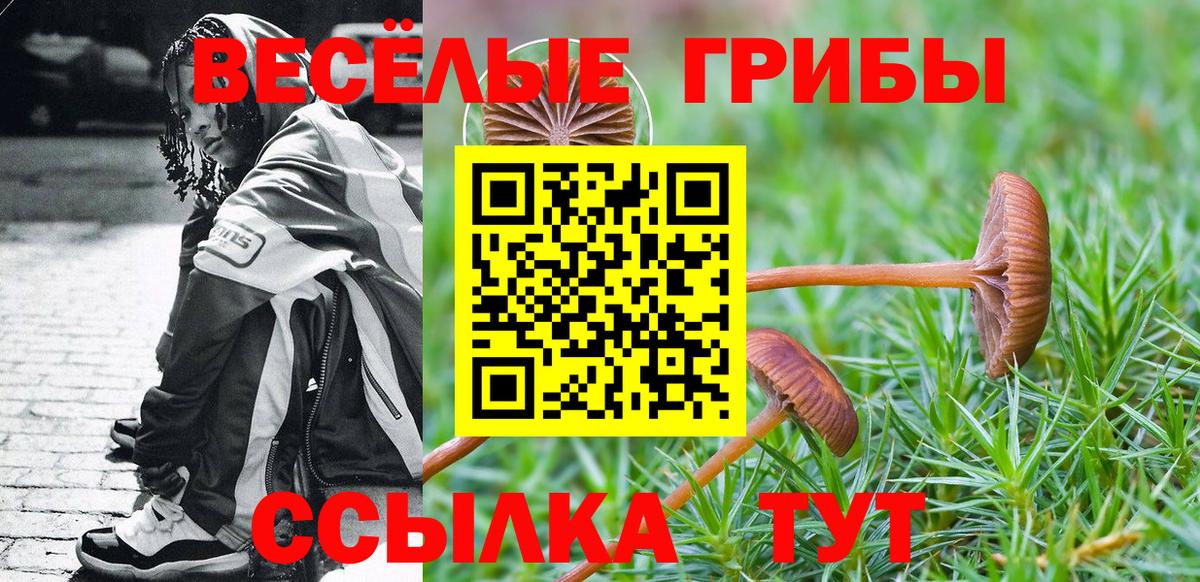 Галлюциногенные грибы мухоморы Железногорск